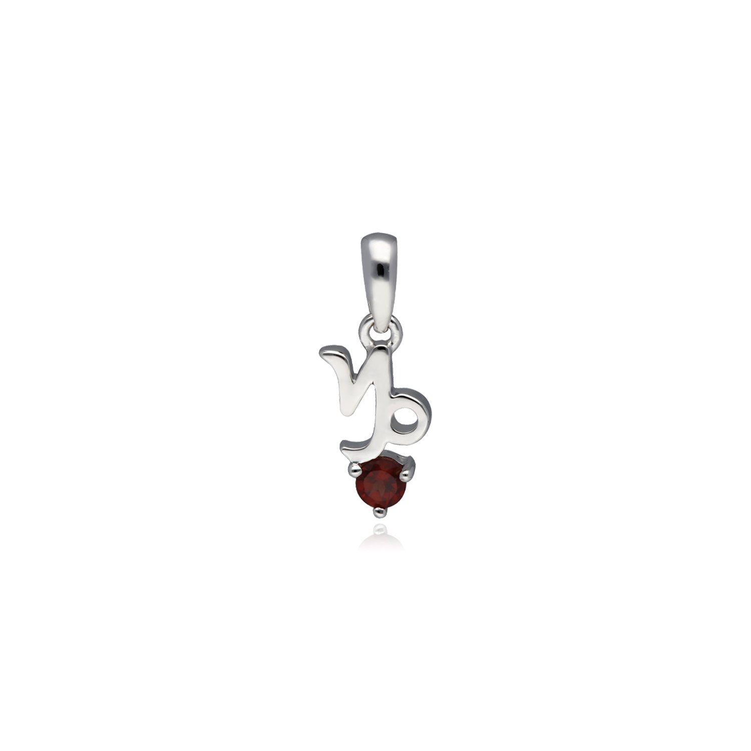 Garnet Capricorn Zodiac Charm