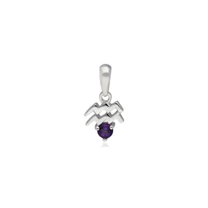 Amethyst Aquarius Zodiac Charm 